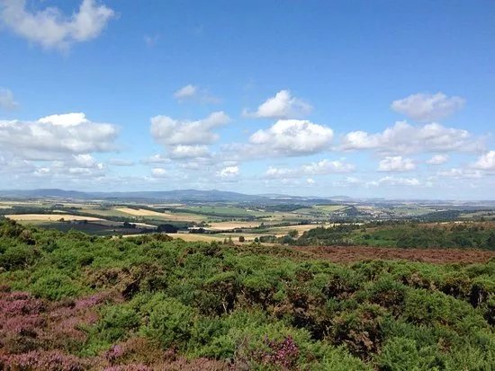 Brimmond Hill Country Park