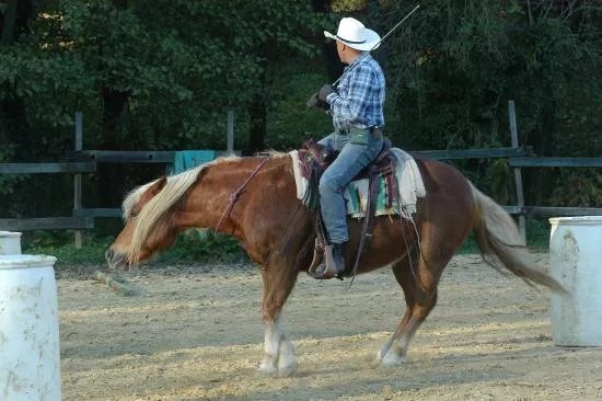 Lischeto Ranch