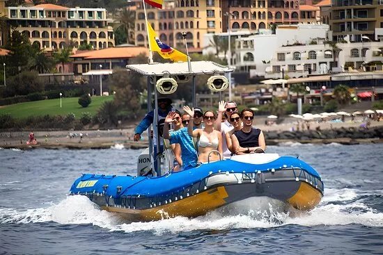 Sea Safari Tenerife
