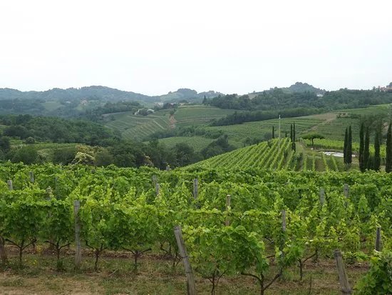 Josko Gravner Winery