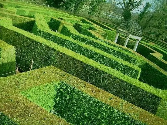The aMazing Hedge Puzzle