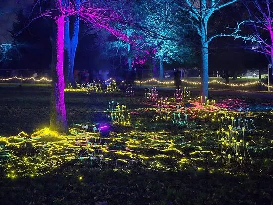 Christmas At Bute Park