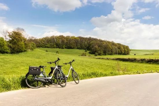 E-bikes to go