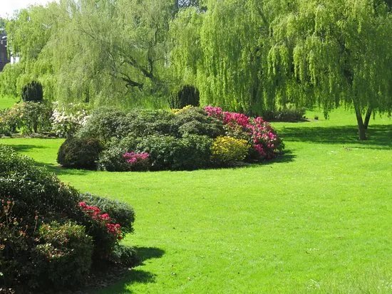 Bitts Park