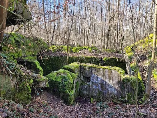 Bunkerruine Hardtwaldbatterie
