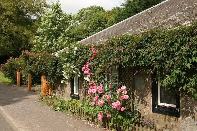 Old Toll Cottage -Delightful Cottage recently renovated.
