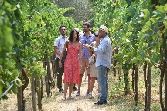 Agriturismo  Primaluce - Fattoria Didattica e Tour