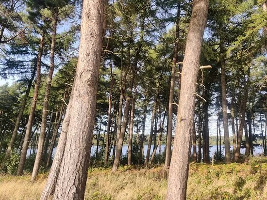 Eccup Reservoir