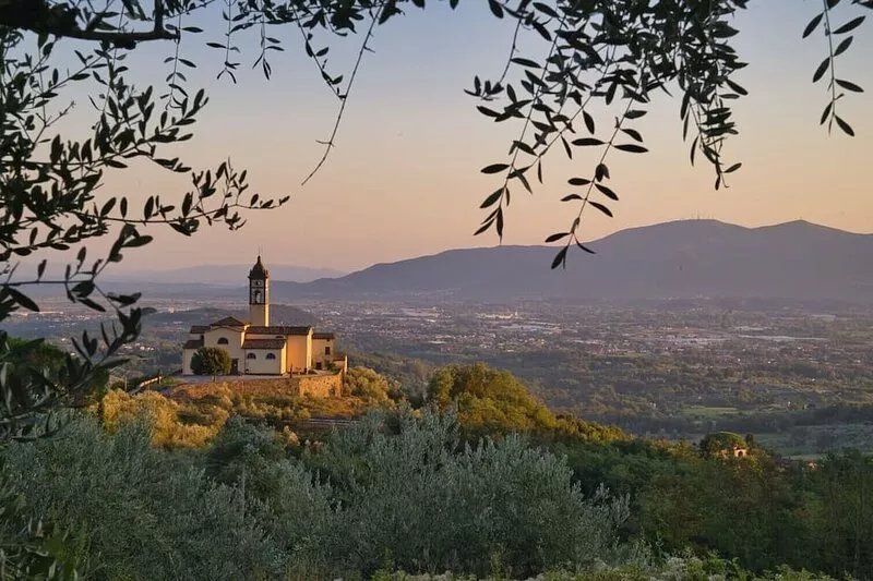 Appartement with pool, located between olive treees and wine rapes