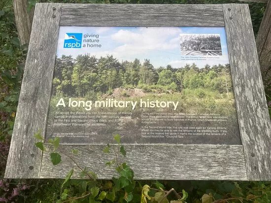 Rspb Broadwater Warren Nature Reserve