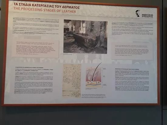 Museum Of Tanning