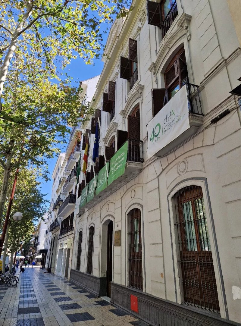 21 Calle Reyes Catolicos Building