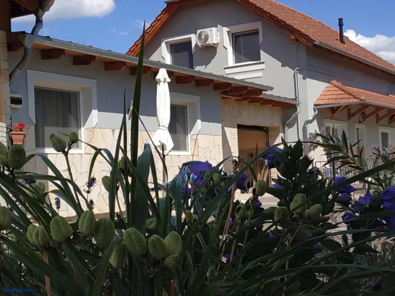 Aranyhal Apartman