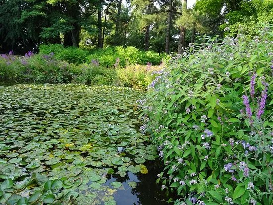 Park Oog in Al