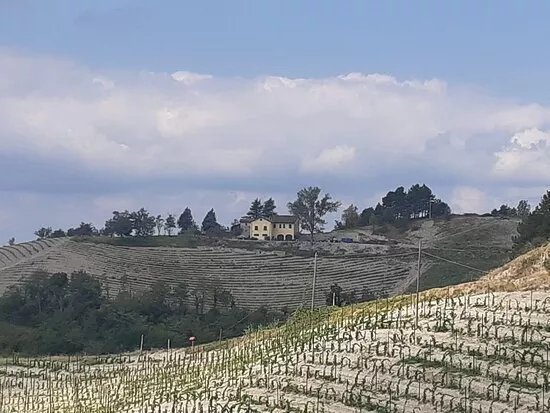 Azienda Agricola Cascina Belvedere 1932