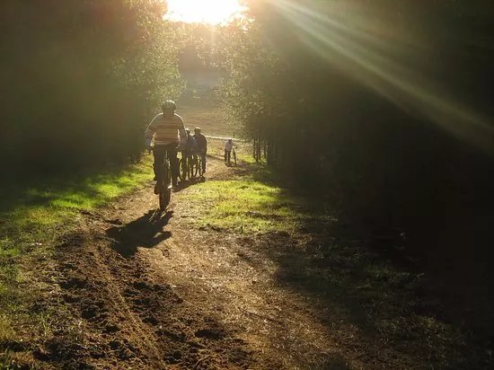Veluwe Specialist Garderen