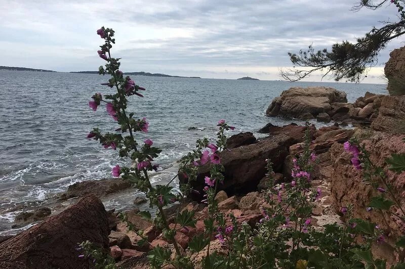 Large garden, 3 minutes from the beach, residential area of Sanary