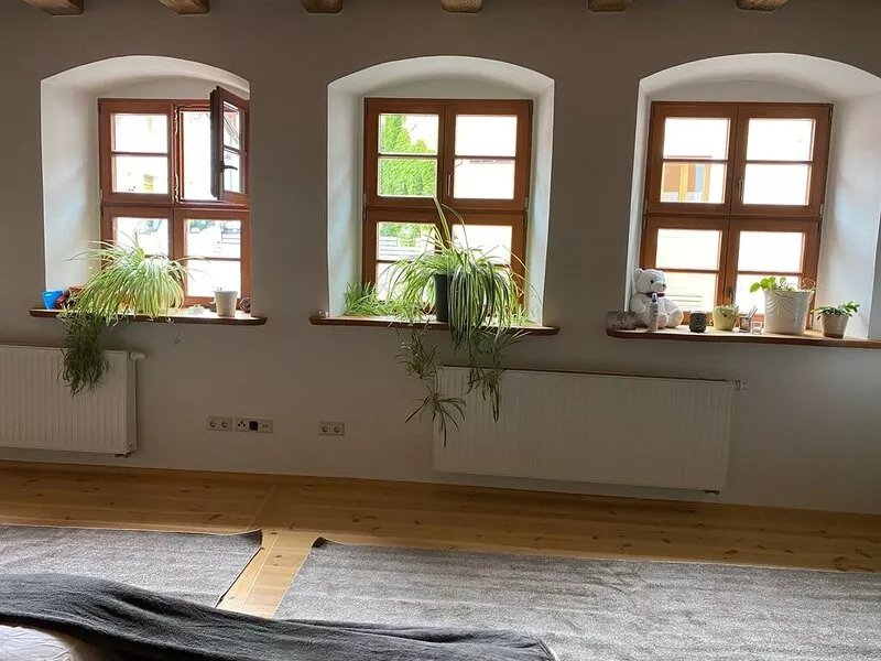 Sleeping with a garden in a historic old town house