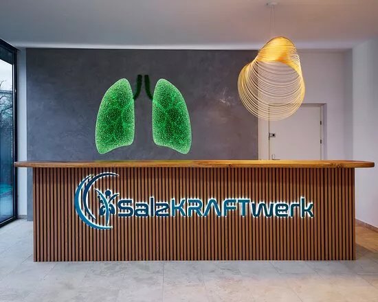 Salzkraftwerk Linz