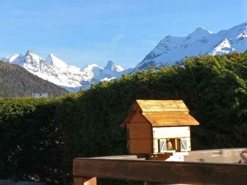 Chalet VOLIÈRE HAUT -Outside : chalet for 8 persons, large terrace, garden