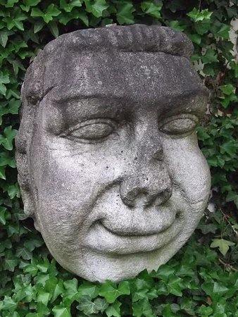 Der Passauer Tolpel