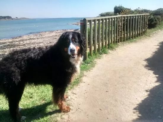 Le Chemin des Douaniers