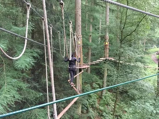 Go Ape Dalby