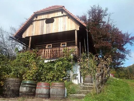 Vineyard cottage Spanceva zidanica
