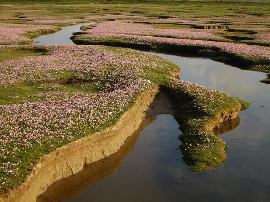 RSPB Loch Gruinart Reserve