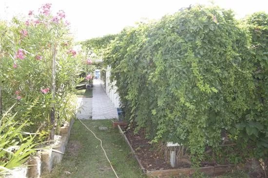 Bagno Flamingo Beach 283