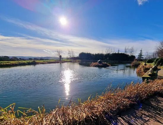 Foxholes Lake