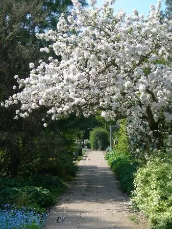 Martineau Gardens