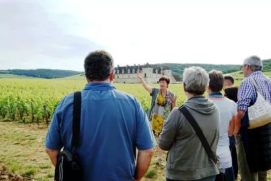 Clos de Bourgogne