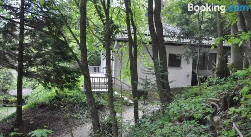 Your holiday house