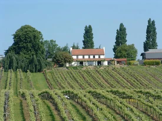 Three Choirs Vineyard