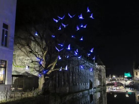 Lichtkunstwerk Blauwe Vogels