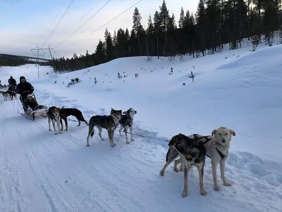 Extreme Huskies