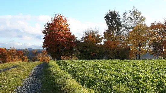 Zwolfgipfelblick