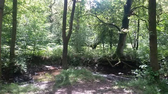 Wenchford Picnic Site