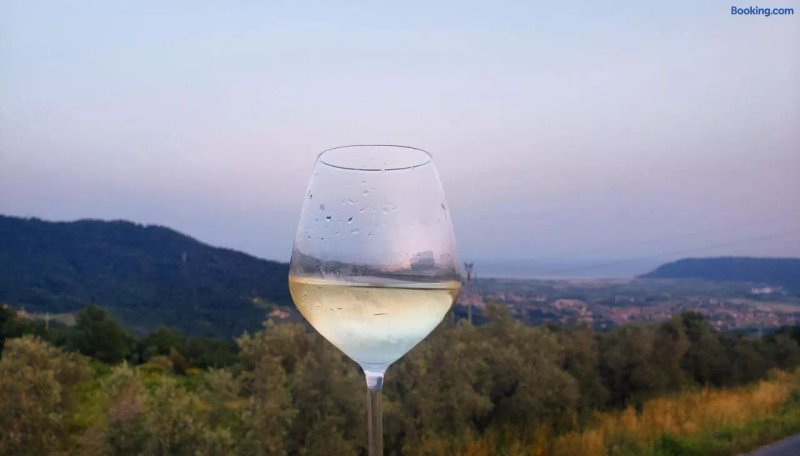 Vinomare Guesthouse