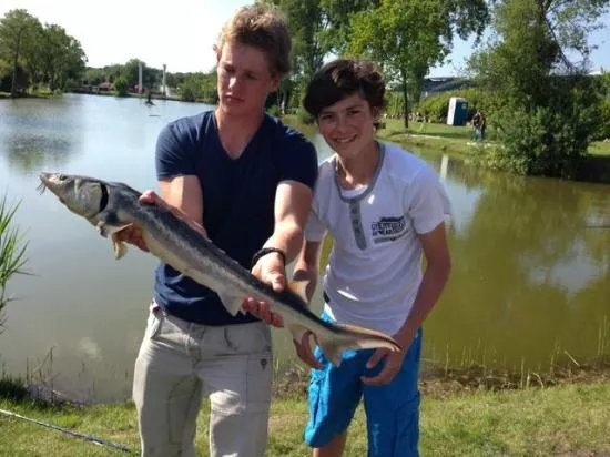 Vissen bij de Zuilen