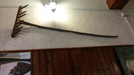 Cascina Cavriano - Cultural and Recreative Activities