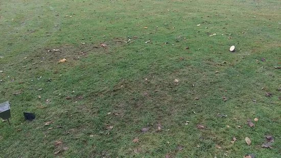 Whitefields Golf Club