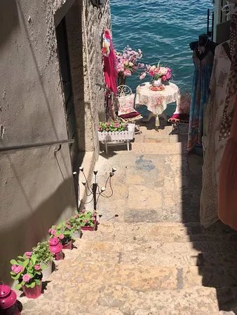 Monvi Tours