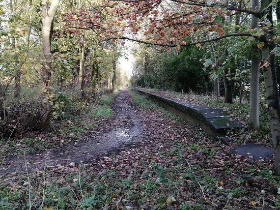 The Old Skirlaugh Railway Station