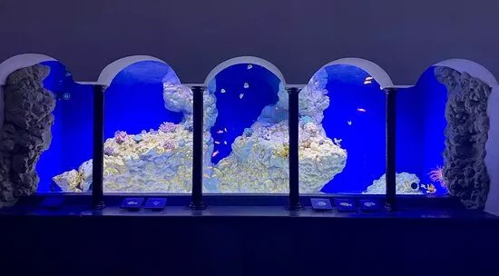 Acquario di Napoli