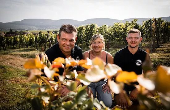 Vins d'Alsace Heyberger-meyer