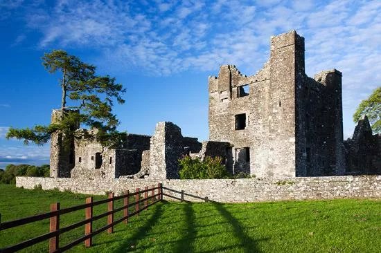 Bective Abbey