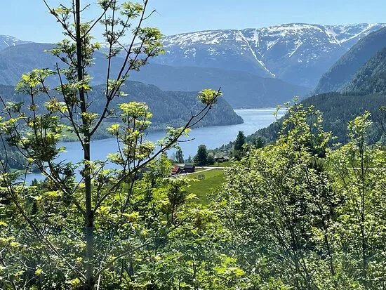 Bike the Fjords