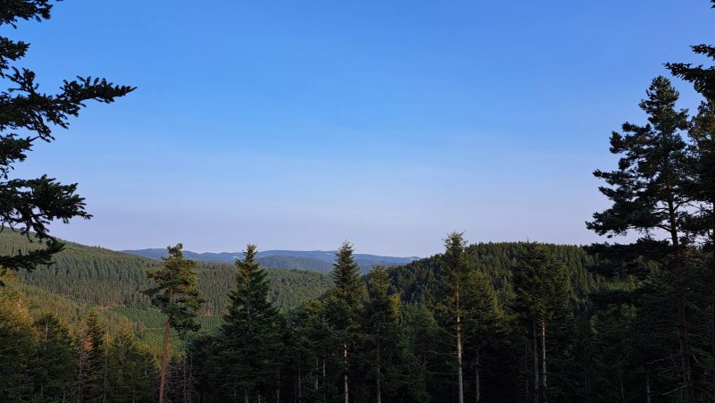 1 contemporary comfortable yurt located in a wood terrace with a view.